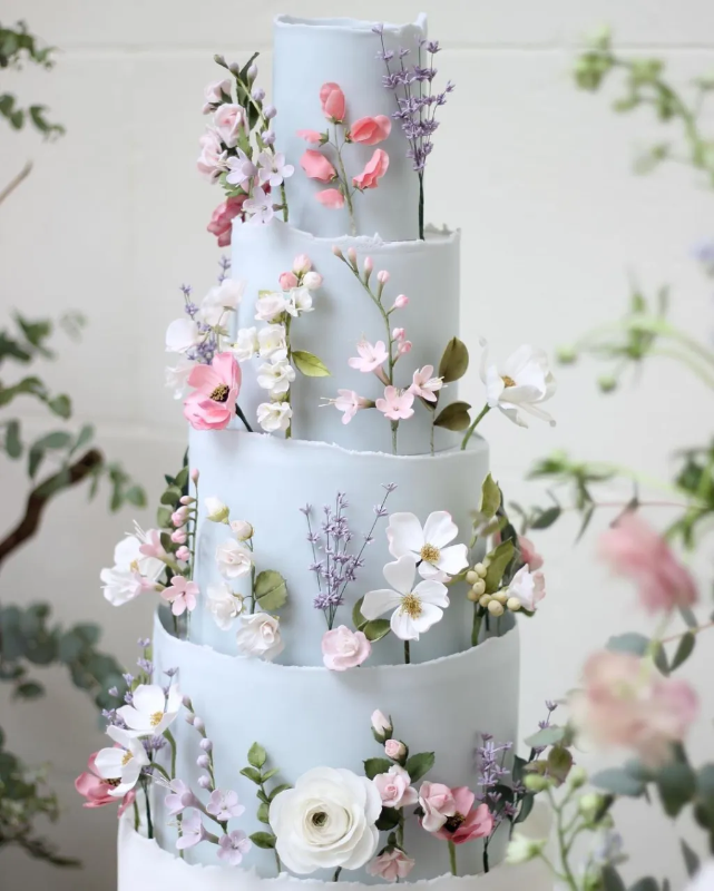 Cake Pastel image